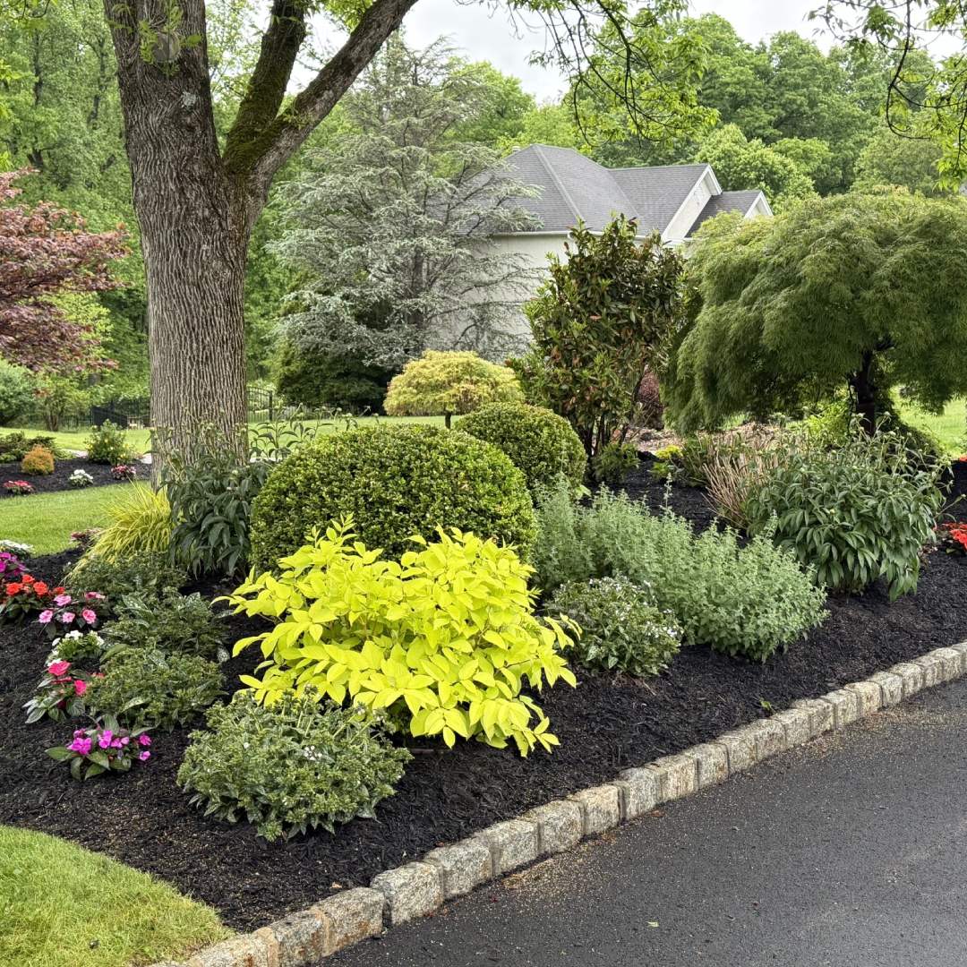Majestic Mowing & Landscaping