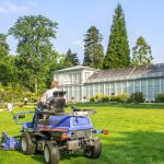 Lawn Maintenance