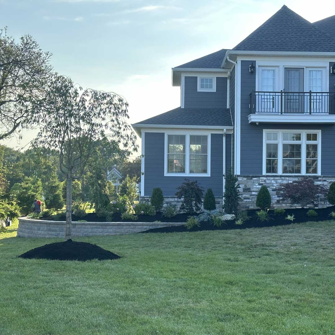 Lawn Maintenance
